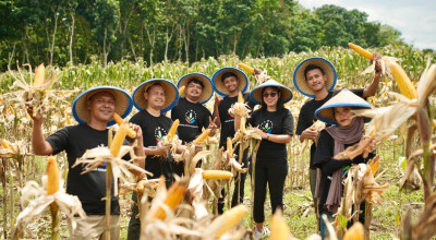 Panen Perdana Jagung Program Agroforestri di Jember, Wabup: Dukung Ketahanan Pangan