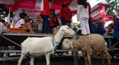 Sosialisasi Kebencanaan di Jember Berhadiah Kambing dan Ayam