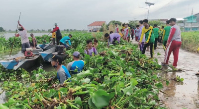 Terdampak Banjir, Siswa di Lamongan Inisiatif Bersihkan Sungai Dari Eceng Godok