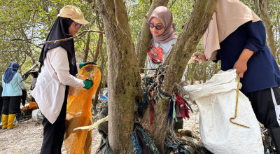 Mangrove Wonorejo Tercekik Plastik, Ecoton Angkat 300 Kg Sampah