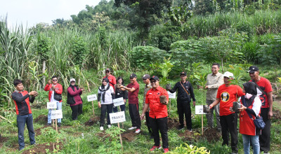 Kado Ultah Megawati, DPC PDIP Tulungagung Tanam Pohon Kopi dan Lepas Burung
