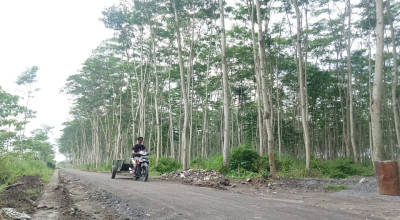 Progres Proyek Jalan Tembus 1.657 Meter TMMD ke-127 di Kediri Capai 60 Persen