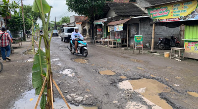 Perbaikan Lamban, Warga di Tulungagung Tanami Jalan Rusak Dengan Pohon Pisang