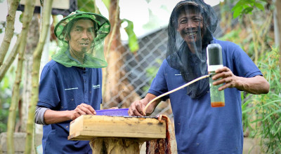 Tak Sekadar Penghijauan, Program Hutan Lestari Pertamina Tingkatkan Ekonomi Warga