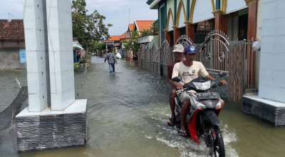 Empat Bulan Terendam Banjir, Ini Keluh Kesah Warga Lamongan