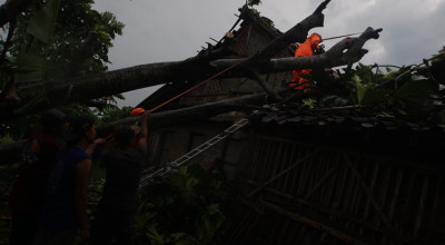Terdampak Angin Puting Beliung, Puluhan Rumah di Tulungagung Rusak