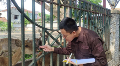 Disnakeswan Tulungagung Pantau Kondisi Rusa di Pendopo, Ini Hasilnya