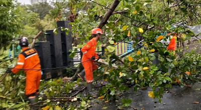 Hujan Angin Terjang Kediri, Pohon Tumbang dan 14 Atap Rumah Rusak