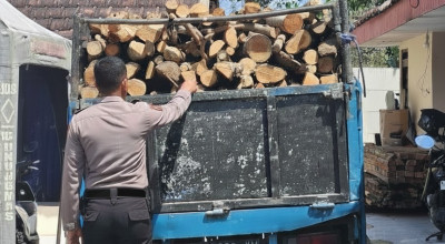 Polisi Bekuk Pelaku Pembalakan Liar di Hutan Lindung Malang