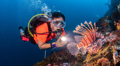 Keindahan Laut dan Pelajaran Tentang Keselamatan