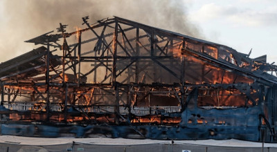 Kandang Ayam di Dringu Probolinggo Terbakar, 21 Ribu Ekor Mati