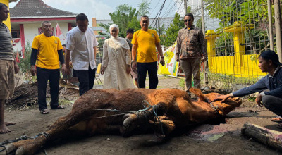 Adela Kanasya Adies Tebar Kurban untuk Warga Surabaya dan Sidoarjo