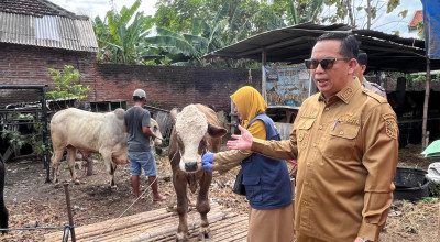 Sidak Hewan Kurban, Wali Kota Probolinggo Soroti Kesehatan dan Penurunan Harga