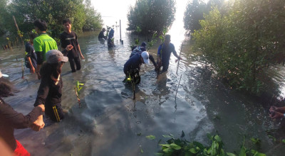 Puluhan Ormas Gotong Royong Hijaukan Kawasan Sontoh Laut Surabaya