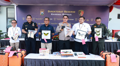 Polda Jatim Gagalkan Penyelundupan 53 Gading Gajah Lewat Jemaah Umroh