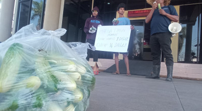 Kecewa Harga Mentimun Rp500 per Kg, Petani Jember Bagikan Panen Gratis