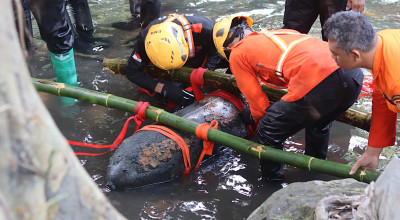 4 Fakta Penemuan Bom Udara di Blitar: Berbobot 100 Kg, Dipastikan Masih Aktif