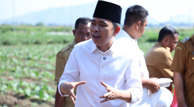 Genjot Produktivitas Pangan, Pemkab Jember Kucurkan Rp312 Miliar