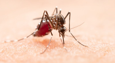 Mahasiswa Unair Ciptakan Malaiscope, Alat Deteksi Cepat Malaria