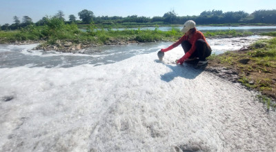 Telapak Temukan Dugaan Pencemaran Kali Porong Mojokerto, Bakal Lapor Menteri LH