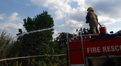 Petani Tebu di Kediri Tewas Terbakar Saat Membakar Sisa Daun Kering