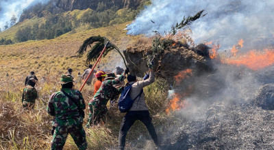 Kebakaran Hutan Bromo, Tim Gabungan Berjibaku Padamkan Api di Kemiringan 70 Derajat