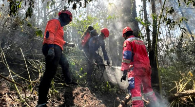 Bantu Kendalikan Karhutla Bromo, Damkar Surabaya Kerahkan Tim Rescue dan Dua Armada
