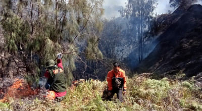 Kebakaran Landa Lereng Kaldera Tengger, Akses Wisata Bromo Ditutup Sebagian