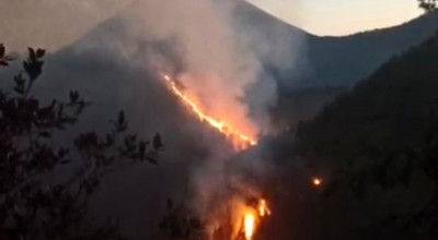 Gunung Semeru Ditutup Total Imbas Kebakaran Hutan di Ranu Kembang