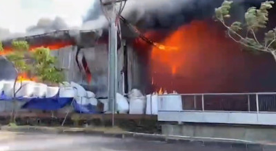 Kerugian Kebakaran Pabrik Pengolahan Kayu di Lamongan Ditaksir Rp10 Miliar