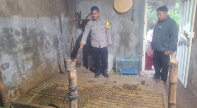 Kandang Disatroni Maling, Dua Ekor Sapi Milik Warga Probolinggo Raib