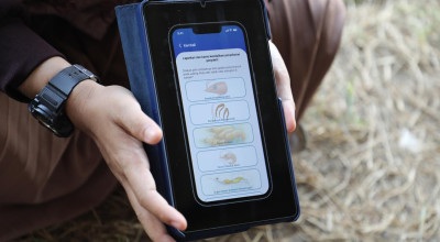 Petambak Udang Kini Bisa Deteksi Penyakit Tambak Pakai AI SMARTAMBAK