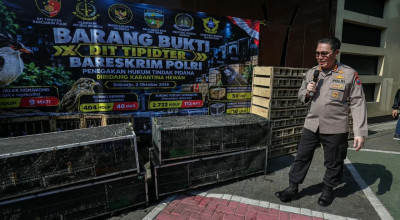 Bareskrim Ungkap Penyelundupan Burung Ilegal di Sidoarjo, 2 WN Vietnam Diamankan