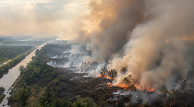 Kebakaran Hutan Kalimantan: Krisis Ekologis dan Tantangan Komunikasi Pemerintah