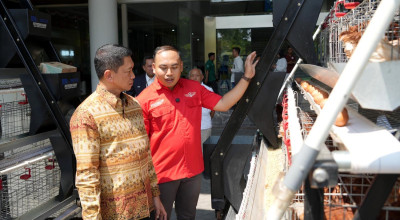 Canggih! Inovasi Kandang Ayam IoT Buatan Mahasiswa ITS Tembus Pasar Papua