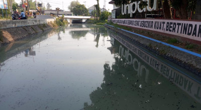 Sungai Rejoso Jombang Memutih dan Berbau, Ribuan Santri Terganggu