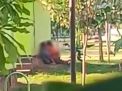 Video Pasangan Mesum Disebut di Kota Probolinggo Diminta Segera Diusut