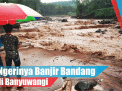 Video: Ngerinya Banjir Bandang di Banyuwangi