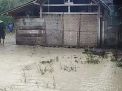 Puluhan Rumah di Bojonegoro Rusak Diterjang Banjir Bandang