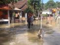 Sungai Kali Lamong Meluap, Belasan Rumah di Mojokerto Terendam