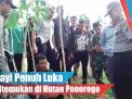 Video: Bayi Penuh Luka Ditemukan di  Hutan Ponorogo