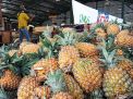 Buah Nanas di PIOS Jadi Buruan Pelanggan