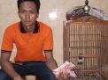 Pemuda ini Disergap saat Jual Burung Jalak ke Polisi