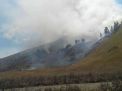 Bukit Teletubbies Gunung Bromo Terbakar