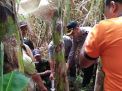 Jasad Bayi Laki-laki Ditemukan di Sungai Jombang