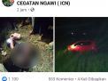 Viral Mobil Dikemudikan Gadis Cantik Terperosok dalam Sawah di Ngawi