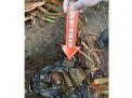 Pencari Ikan di Blitar Temukan Granat dan 56 Peluru Tajam