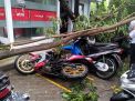 Hujan Angin Kembali Sapu Bojonegoro
