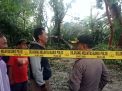 Satu Orang Tewas Tertimpa Pohon Akibat Hujan Angin di Kediri