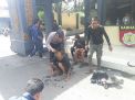 Gaya Seperti Preman, Anak-anak Punk ini Lemas di Kantor Polisi